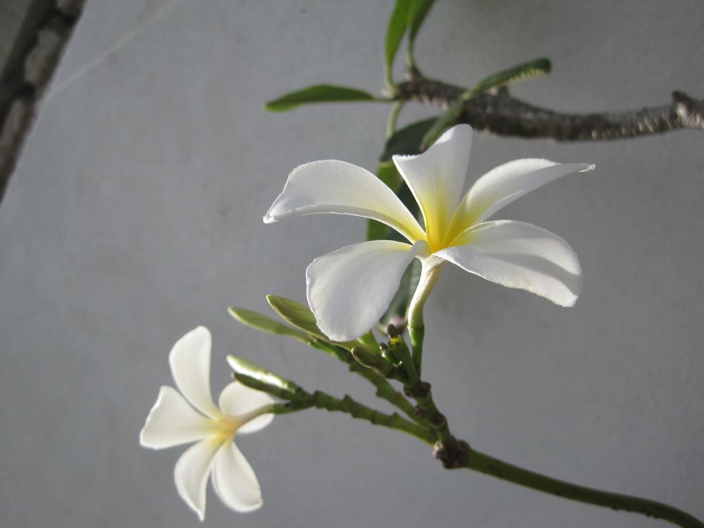 Crescent Resort Galle Luaran gambar